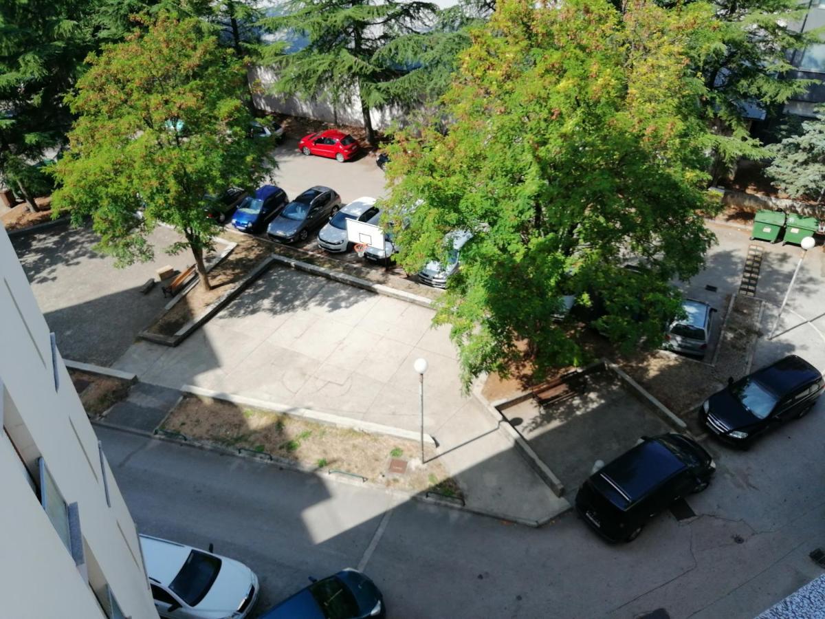 Apartment 5 زادار المظهر الخارجي الصورة